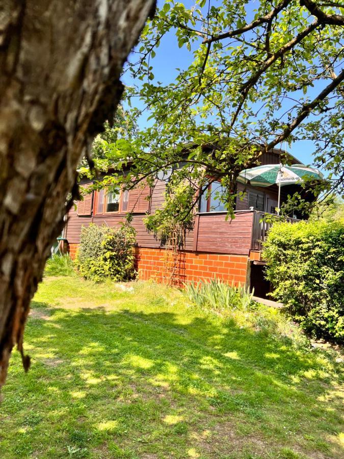 Ferienhaus Zittertal Neustadt Harz Haus I Villa Harztor Exterior foto